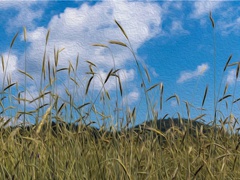 《和晋陵陆丞早春游望》原文翻译赏析视频-杜审言-五言律诗-唐诗三百首