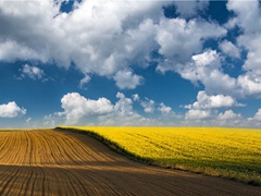 《贺新郎·怀旧》原文翻译赏析视频-蒋捷-宋词三百首