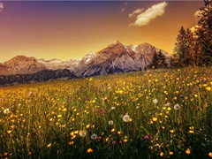 《行路难三首》(其一)原文翻译赏析-李白