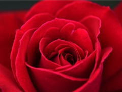 《蓦山溪·赠衡阳妓陈湘》原文,(宋)黄庭坚词作赏析